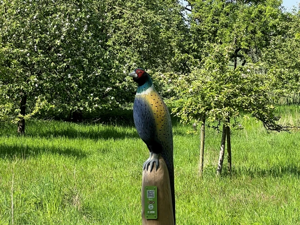 Fasan Ein bunt bemalter Fasan thront erhaben auf einem hölzernen Pfahl in saftig grünem Wiesengelände.
