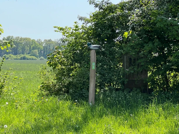 Ente Ein Pfahl trägt eine geschnitzte Entenfigur in einer grünen, von Bäumen und Wiesen umgebenen Landschaft.