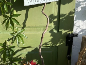 Wir freuen uns auf Ihr Kommen.