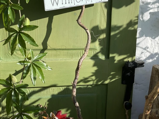 Wir freuen uns auf Ihr Kommen.