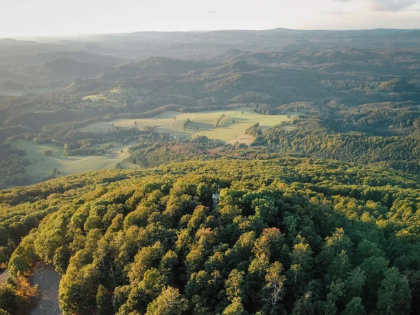 Aerial view of a green forest landscape with rolling hills in the background at sunset, conveying a peaceful atmosphere.