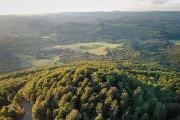 Kaltenberg & Ausblick vom Plateau Luftaufnahme einer grünen Waldlandschaft mit sanften Hügeln im Hintergrund bei Sonnenuntergang, die eine ruhige Atmosphäre vermittelt.
