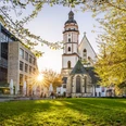 Thomaskirche Leipzig - Musikstadt Leipzig Blick von der grünen Thomaswiese auf die Thomaskirche zum Sonnenuntergang, links davon das Brauhaus an der Thomaskirche und rechts davon Bäume, Musikstadt Leipzig, Sehenswürdigkeiten