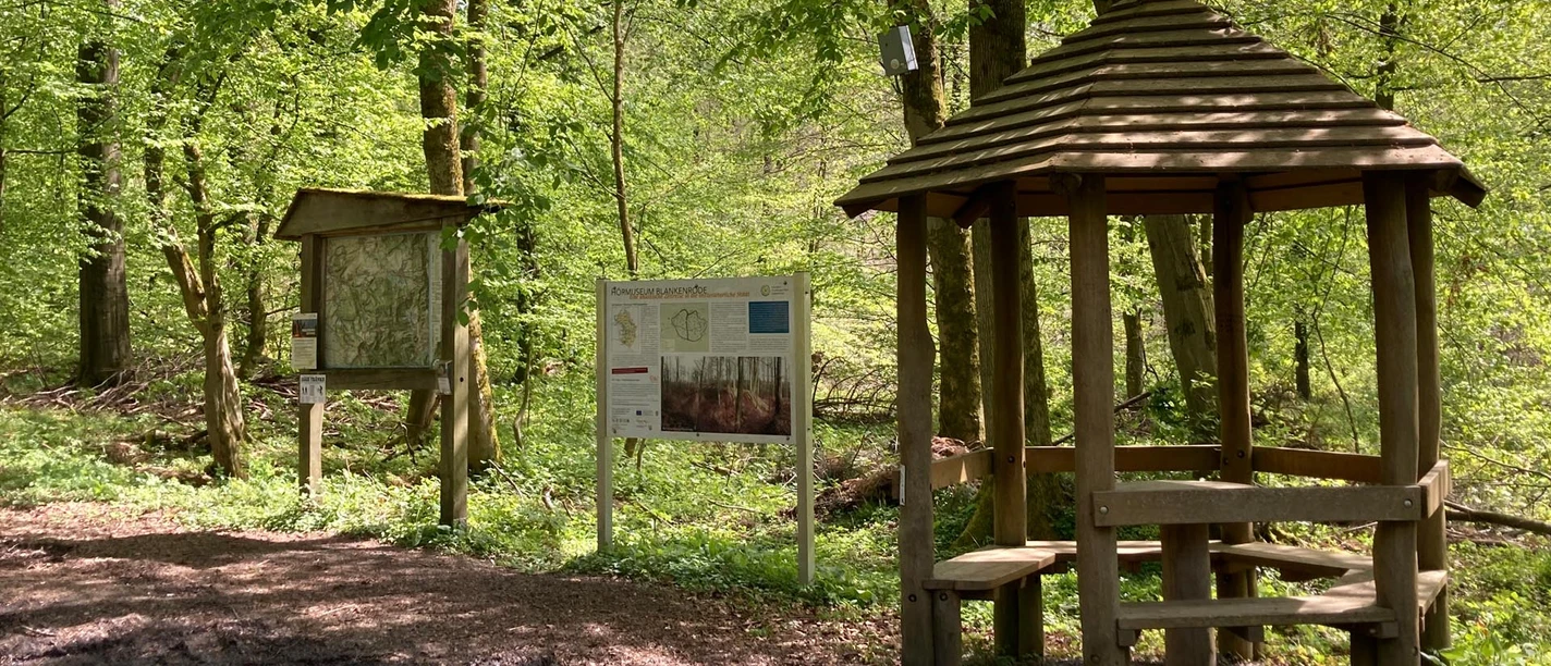 Hikers' parking lot at the Hörmuseum | Lichtenau-Blankenrode Wanderparkplatz am Hörmuseum | Lichtenau-Blankenrode