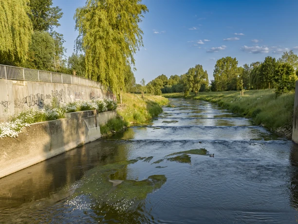 DJI_0316.jpg