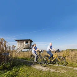 Naturschutzgebiet Rieselfelder Windel.jpg
