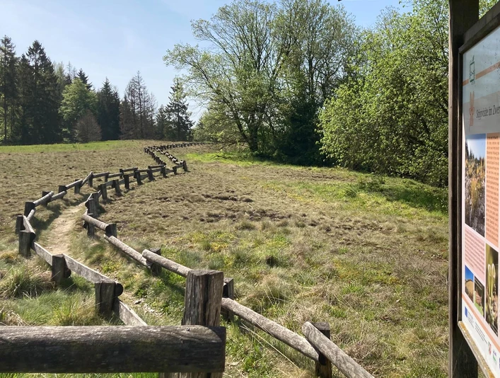 Naturschutzgebiet Bleikuhlen | Lichtenau-Blankenrode