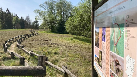 Naturschutzgebiet Bleikuhlen | Lichtenau-Blankenrode Naturschutzgebiet Bleikuhlen | Lichtenau-Blankenrode