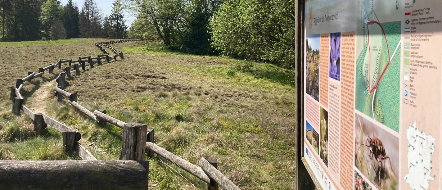 Naturschutzgebiet Bleikuhlen | Lichtenau-Blankenrode Naturschutzgebiet Bleikuhlen | Lichtenau-Blankenrode