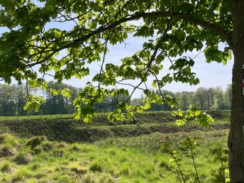 Naturschutzgebiet Bleikuhlen | Lichtenau-Blankenrode