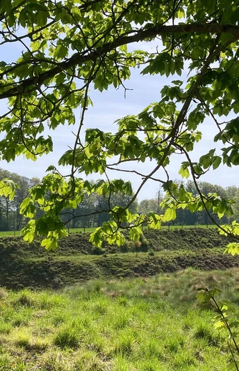 Naturschutzgebiet Bleikuhlen | Lichtenau-Blankenrode