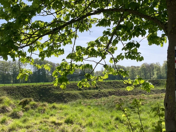 Naturschutzgebiet Bleikuhlen | Lichtenau-Blankenrode