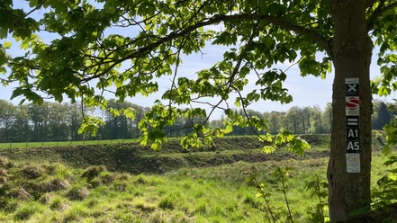 Naturschutzgebiet Bleikuhlen | Lichtenau-Blankenrode Naturschutzgebiet Bleikuhlen | Lichtenau-Blankenrode