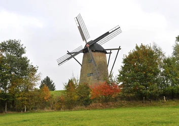 _SKF1833.JPG