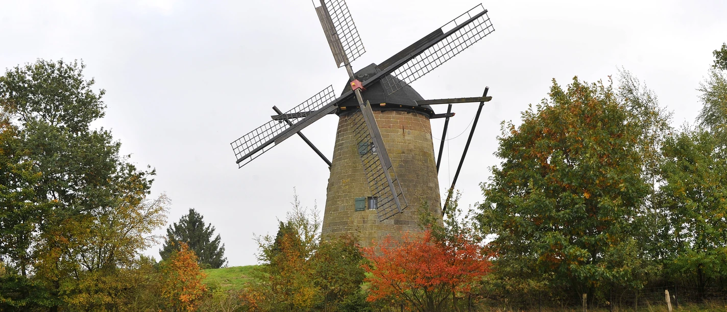 _SKF1833.JPG