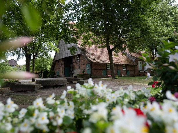 wettringen-heimathaus-ahlers-01