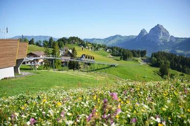 Standseilbahn Schwyz Stoos_ivan steiner (6)_ergebnis.jpg