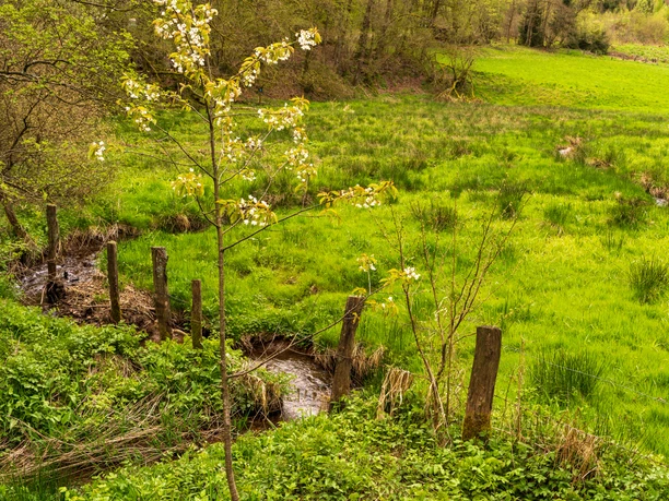 Flussverlauf Lütke Aa