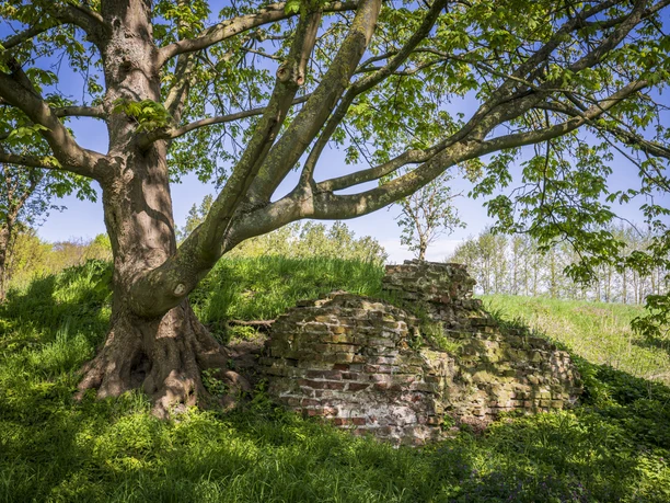 Neuhaus castle rampart Neuhaus castle rampart