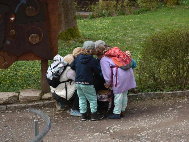 Alternativer Bärenpark Worbis - Escape Game Bärenretter Alternativer Bärenpark Worbis - Escape Game Bärenretter