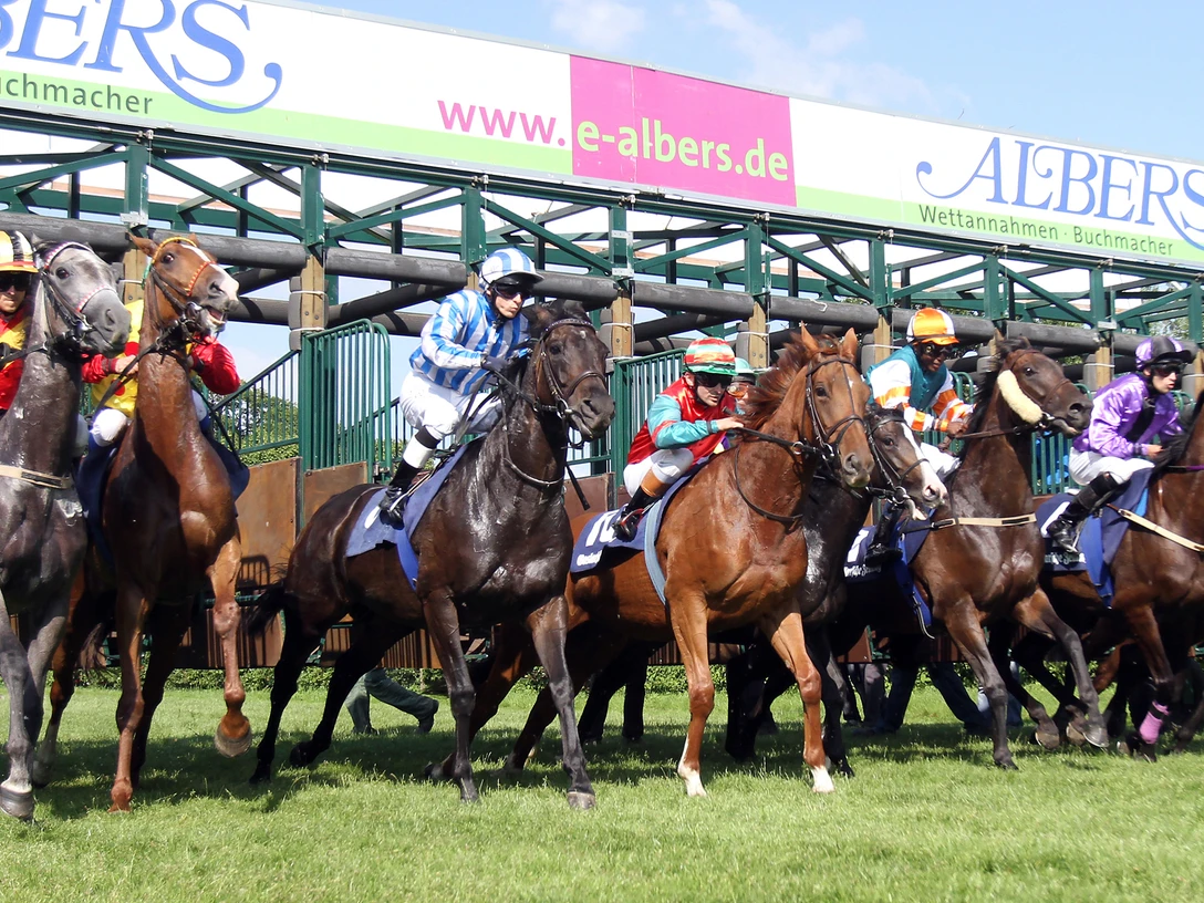 foto_rennwoche_start