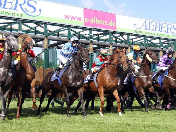 foto_rennwoche_start