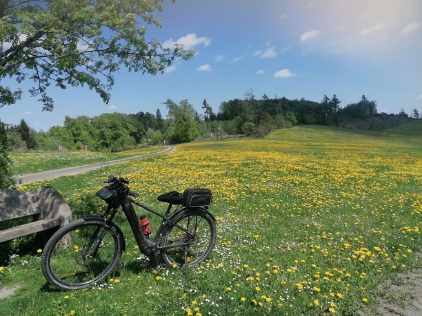 Bike auf Löwenzahnwiese