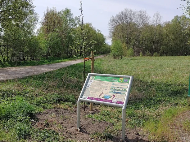 Moor-ZeitReise_EntstehungGroßesMoor_Station-2.jpg Moor ZeitReise EntstehungGroßesMoor Station 2