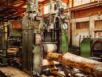 Saegewerk Zuefle Holzverarbeitung Vom Baumstamm Zum Blockhaus Fuehrung Saegevorgang Saegewerk Zuefle Holzverarbeitung Vom Baumstamm Zum Blockhaus Fuehrung Saegevorgang