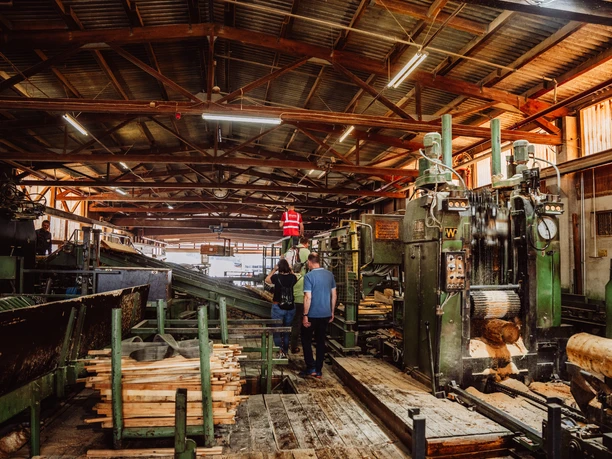 Saegewerk Zuefle Holzverarbeitung Vom Baumstamm Zum Blockhaus Fuehrung Saegebereich Saegewerk Zuefle Holzverarbeitung Vom Baumstamm Zum Blockhaus Fuehrung Saegebereich