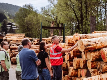 Saegewerk Zuefle Holzverarbeitung Vom Baumstamm Zum Blockhaus Fuehrung Baumstaemme Saegewerk Zuefle Holzverarbeitung Vom Baumstamm Zum Blockhaus Fuehrung Baumstaemme