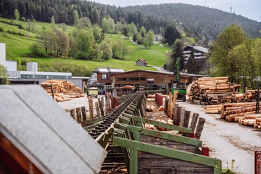Saegewerk Zuefle Holzverarbeitung Vom Baumstamm Zum Blockhaus Fuehrung Anlage
