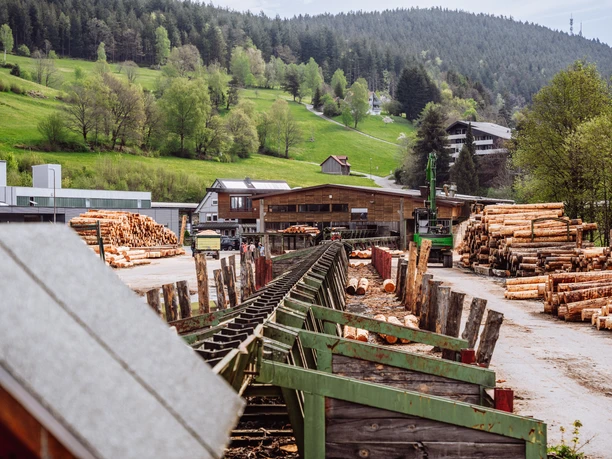 Saegewerk Zuefle Holzverarbeitung Vom Baumstamm Zum Blockhaus Fuehrung Anlage
