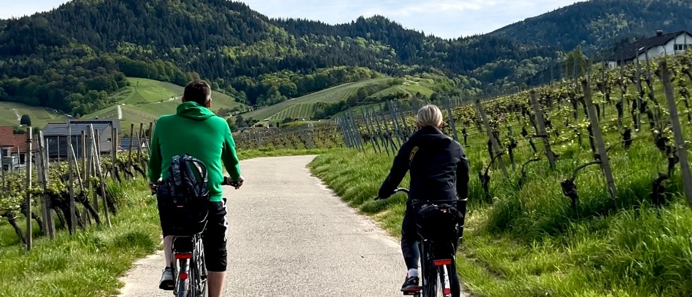 MIt dem Rad in den Reben