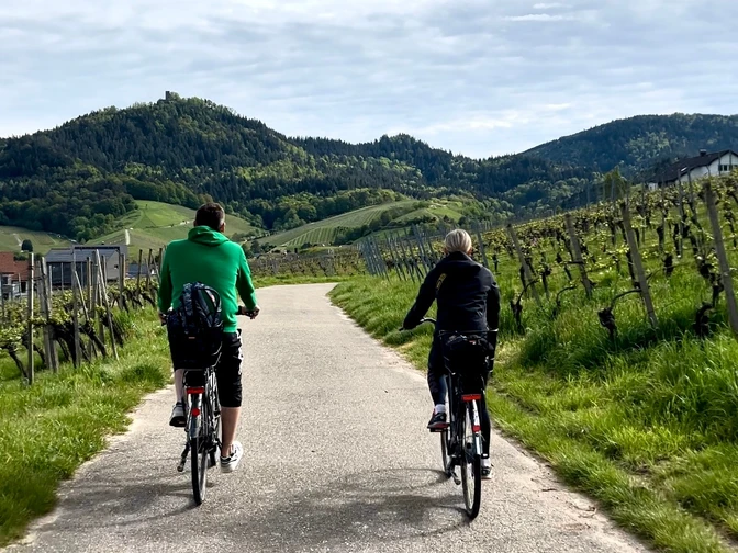 MIt dem Rad in den Reben