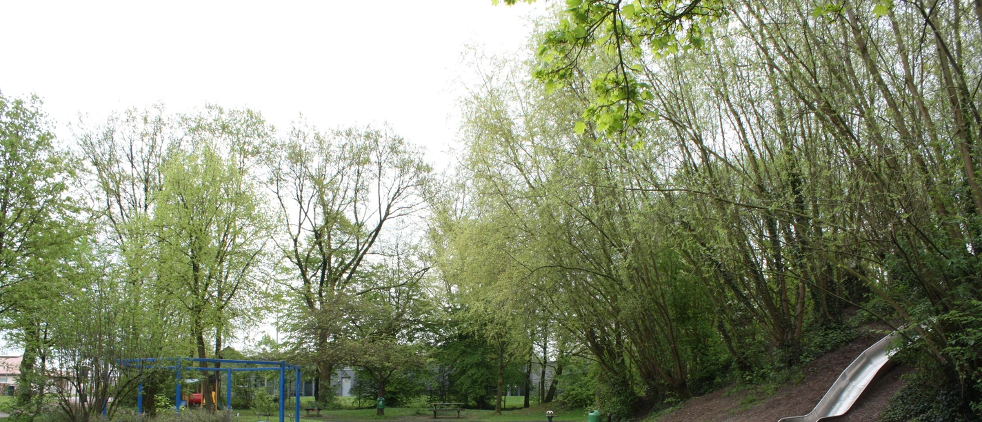Ein Abenteuerspielplatz mit blauer Kletteranlage, grüner Umgebung und silberner Rutsche am Waldrand.