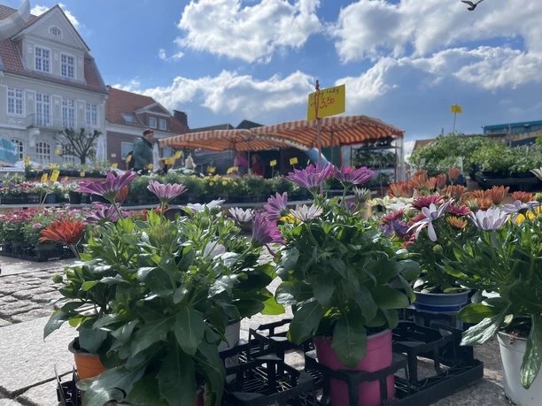 Wochenmarkt Aurich im Sommer Wochenmarkt Aurich im Sommer
