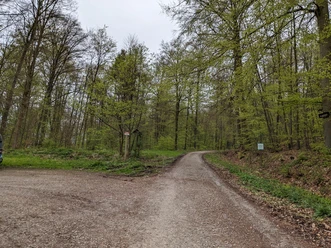 Wandelaars parkeerplaats Greene