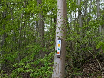 Wanderungen Greene, Markierung, Wege Wanderungen Greene, Markierung, Wege