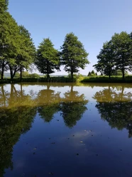 Kiebitzteich in Reelsen.