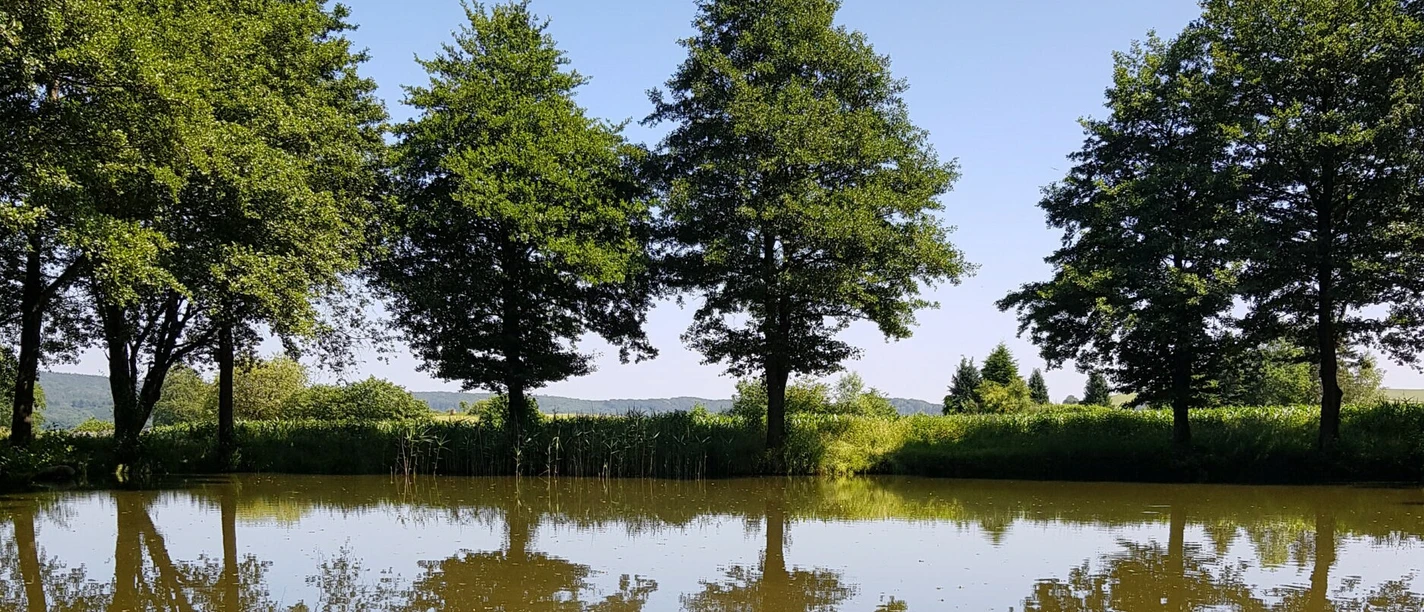 Kiebitzteich in Reelsen.