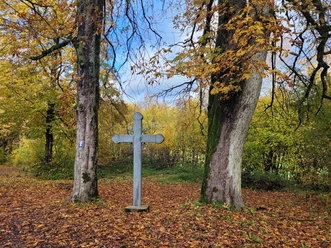 Soethen Kreuz im Wald Reelsen.