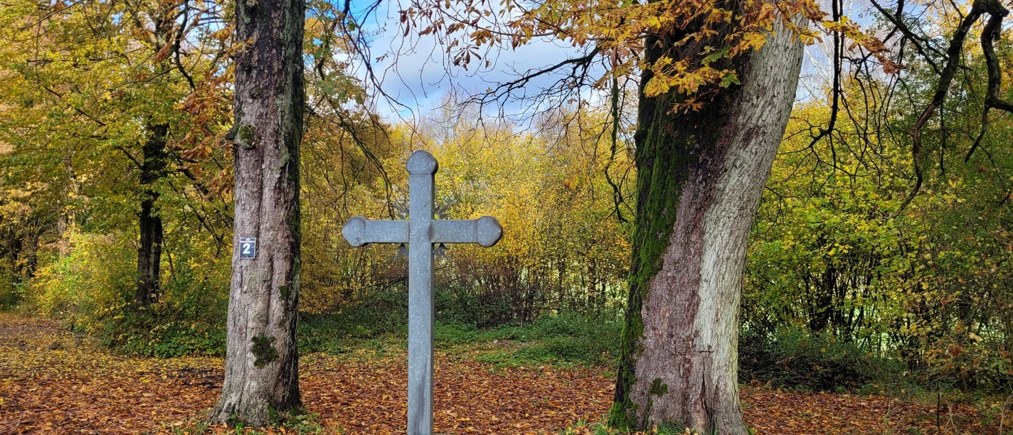 Soethen Kreuz im Wald Reelsen.