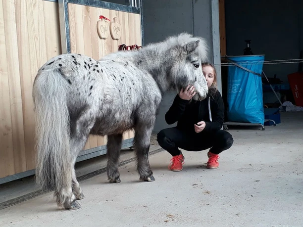 Ferme équestre Buholz Ferme équestre Buholz
