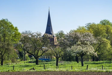 St. Mary's Church in Stapel in spring