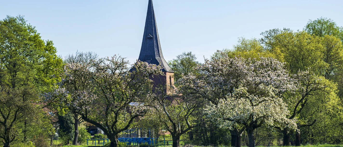 St. Mary's Church in Stapel in spring