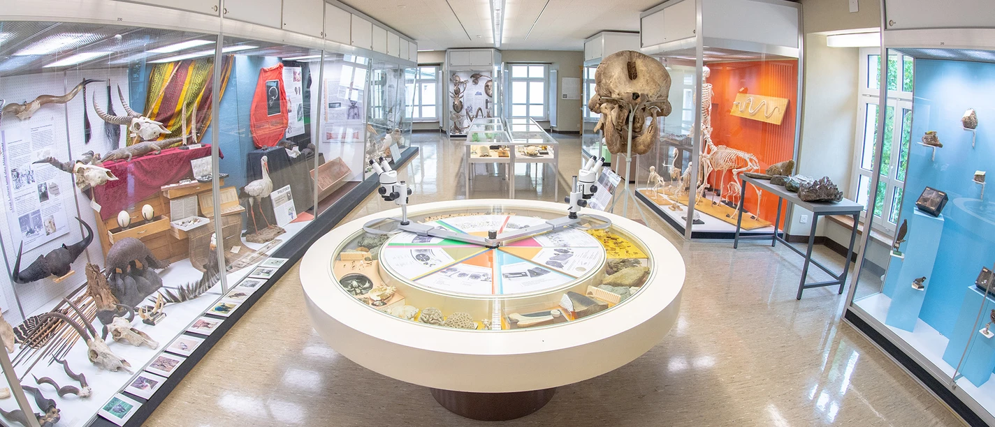 Naturkundlichesammlung © Casparina Aschwanden.jpg