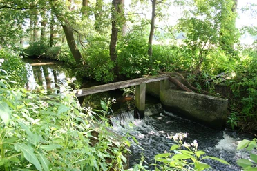 Teutoburger Wald, Verl, Ölbach, M. Lauterbach Idyllischer Bach mit kleinem Wasserfall, umgeben von üppigem Grün und schattigen Bäumen.