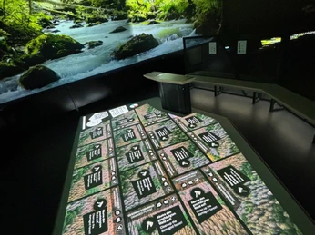 KEW2.jpg Interaktive Ausstellung mit digitalem Bodenbild und Waldprojektion, die Naturthemen veranschaulicht.