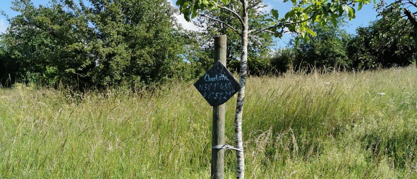 Apfelbaumpatenschaft